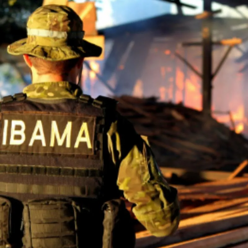 Certificado técnico federal ibama