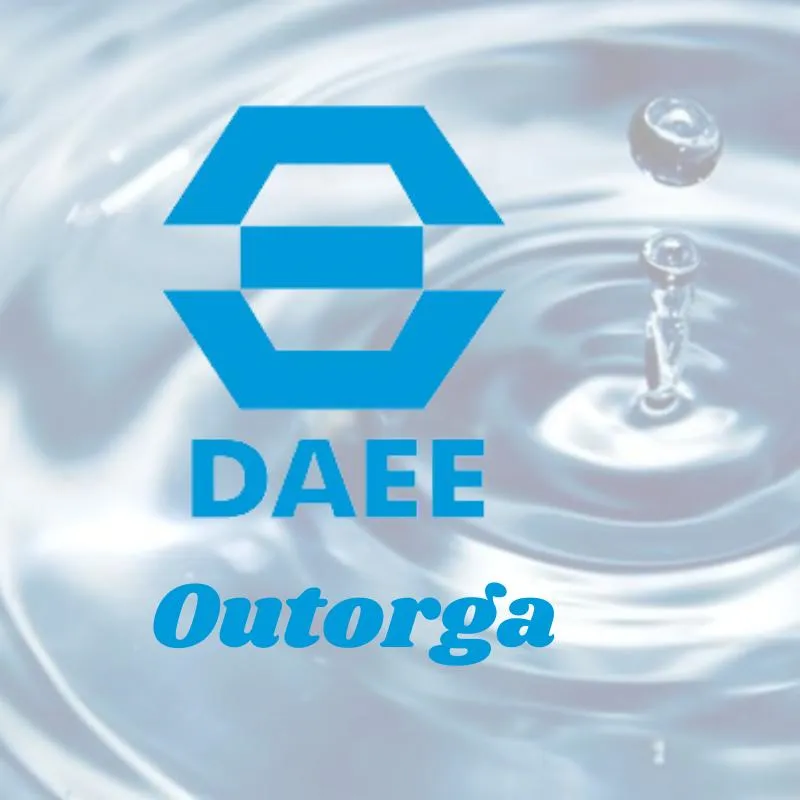 Daee outorga eletrônica